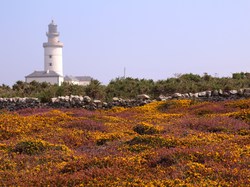  <a style='color: #fff;' href='/uploaded/photo/wei-2014-542b1f96857ba.jpg'>(Télécharger)</a>