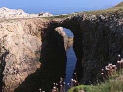  <a style='color: #fff;' href='/uploaded/photo/wei-2014-542b2257b31bc.jpg'>(Télécharger)</a>